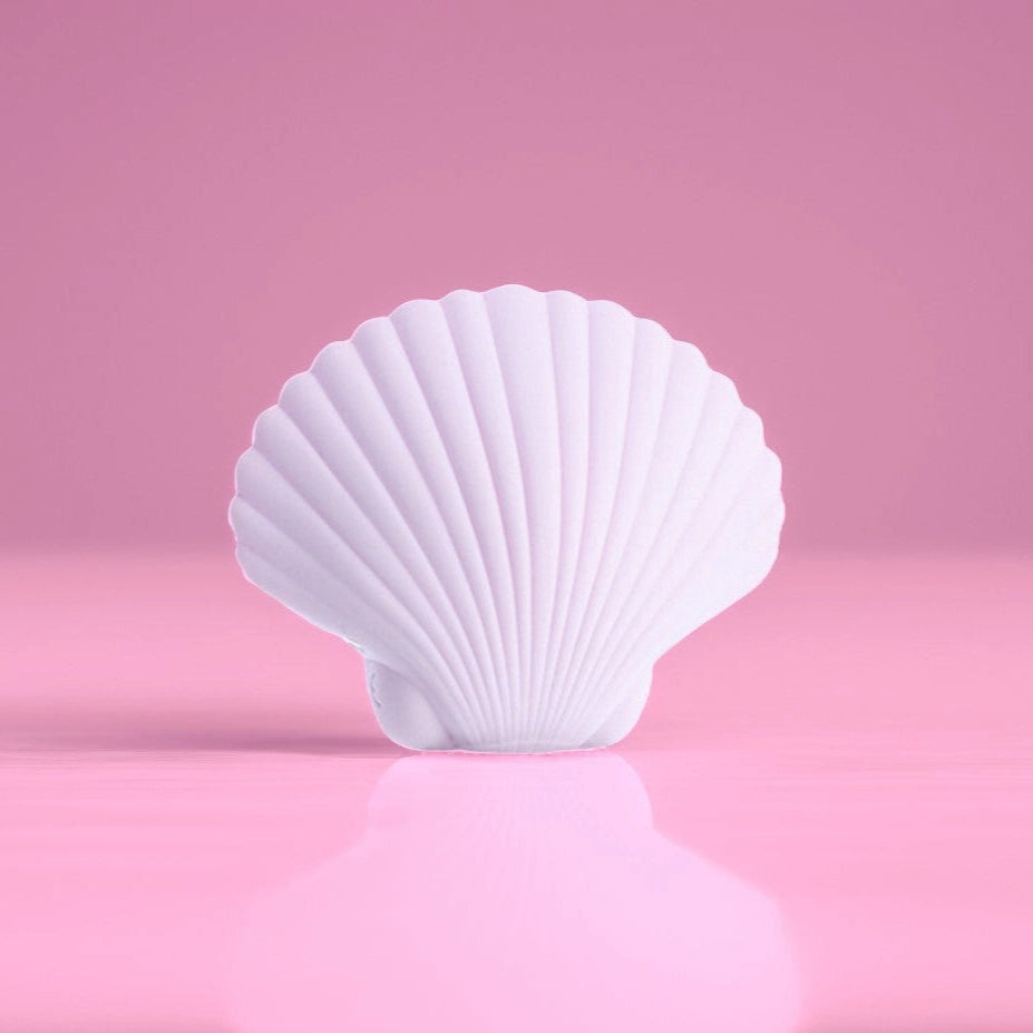 Sandy the shell