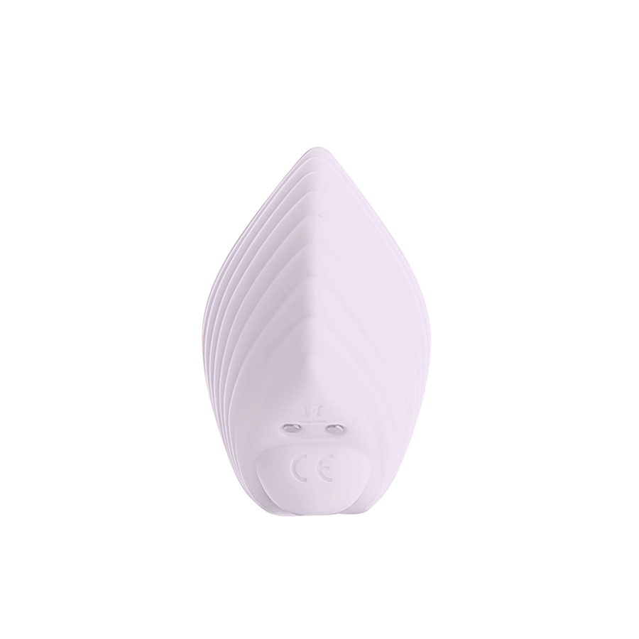 Sandy the shell