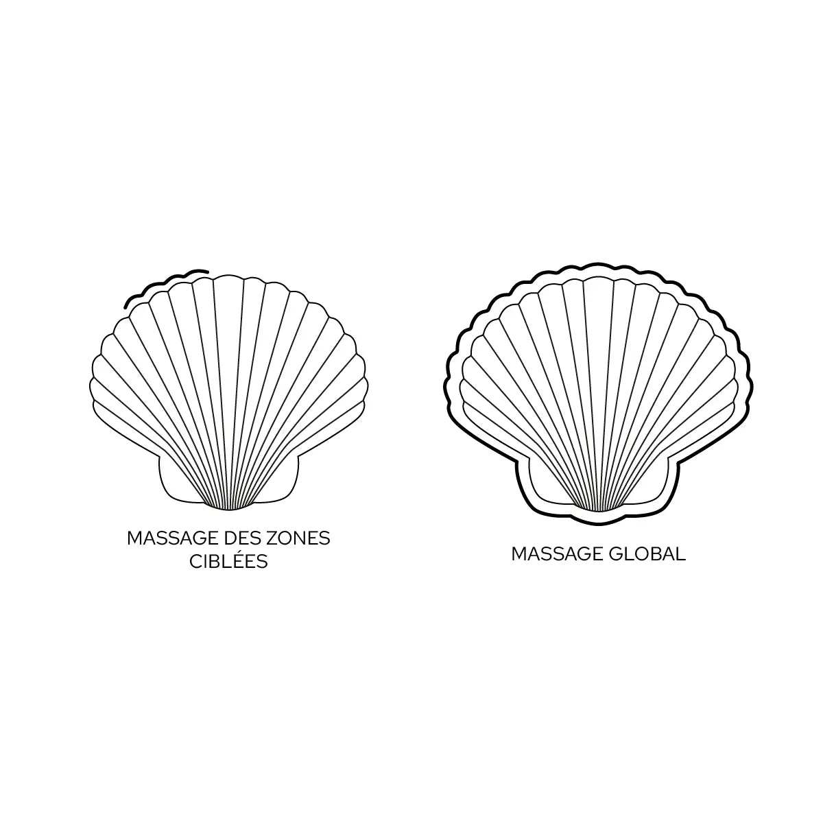 Sandy the shell
