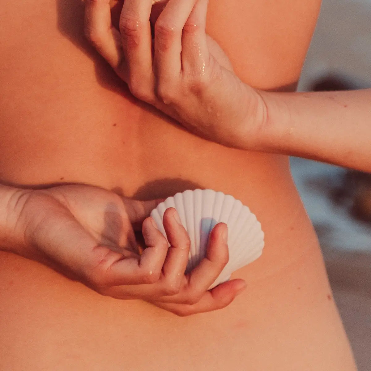 Sandy the shell