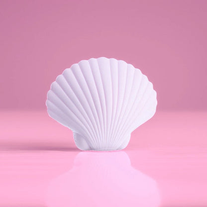 Sandy the shell