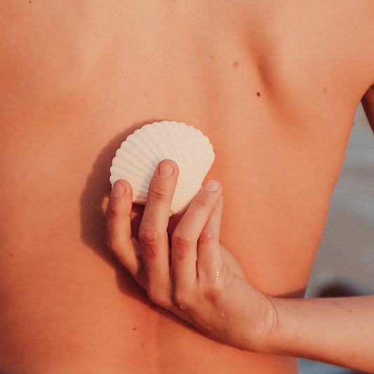 Sandy The shell