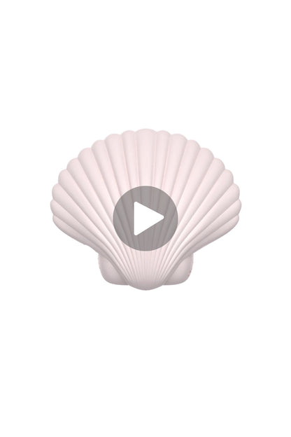 Sandy The Shell